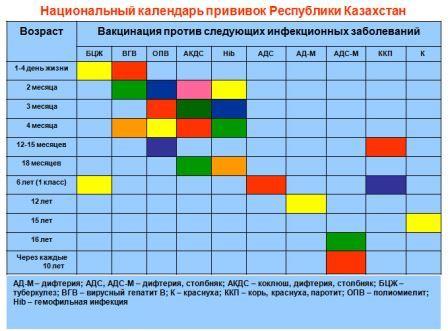 Какие прививки нужно сделать до года фото 238